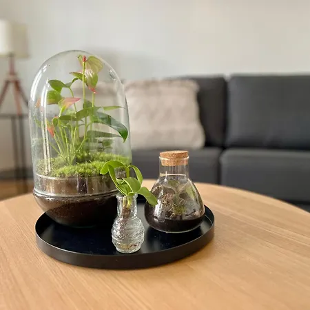 Zur Kaiserin - Im Sueden Berlins *